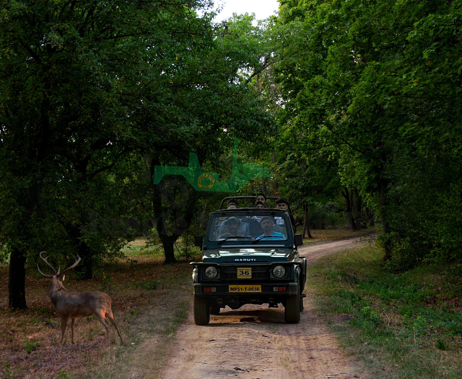 Kanha Holiday Tour with 1 Gypsy Safari